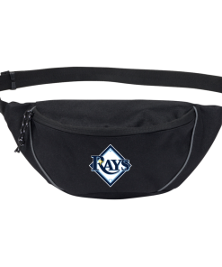 Tampa Bay Rays Outdoor Hip Pack Dad Gifts
