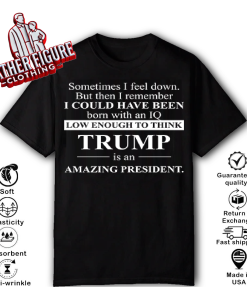 Sometimes I Feel Down But Then I Remember IQ Low Trump T Shirt