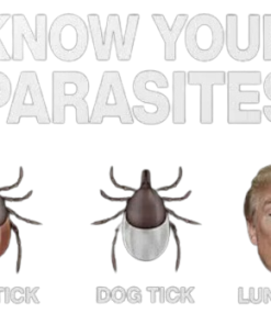 Alternative view of Bruce Springsteen Wearing Trump Know Your Parasites Premium Youth T-shirt